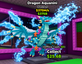Dragon Aquanini
